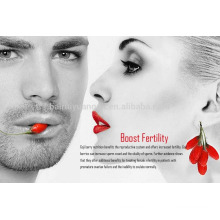 Gostoso seco wolfberry goji berry creme impulsionar fertilidade bagas goji